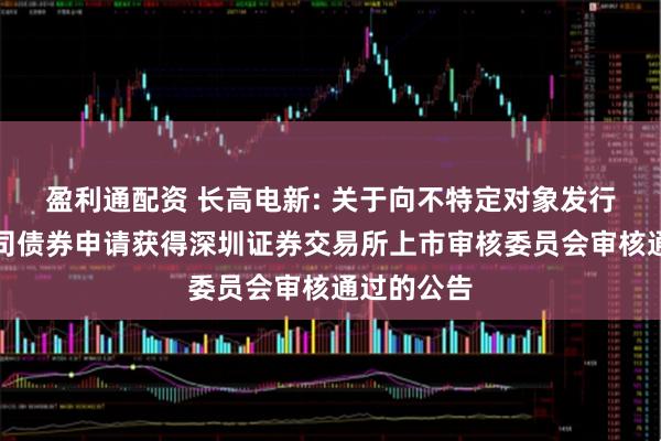 盈利通配资 长高电新: 关于向不特定对象发行可转换公司债券申请获得深圳证券交易所上市审核委员会审核通过的公告